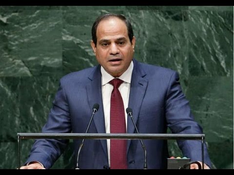 ‎د. مدحت الكاشف ؛ نأسف ونرفض الأساليب الوحشية في التخلص من الكلاب الضآلة