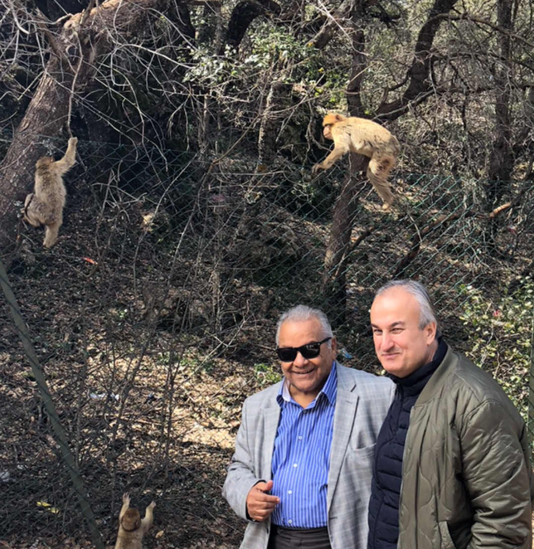 ‎د. مدحت الكاشف ؛ نأسف ونرفض الأساليب الوحشية في التخلص من الكلاب الضآلة