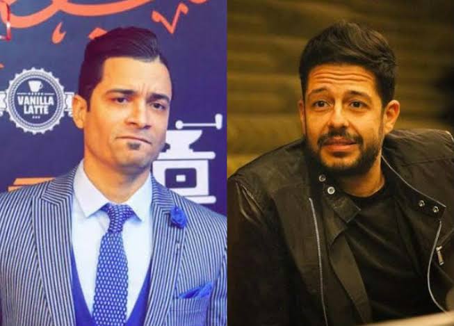 عماد الدين أديب : بالقوة سنحافظ على سلامتنا