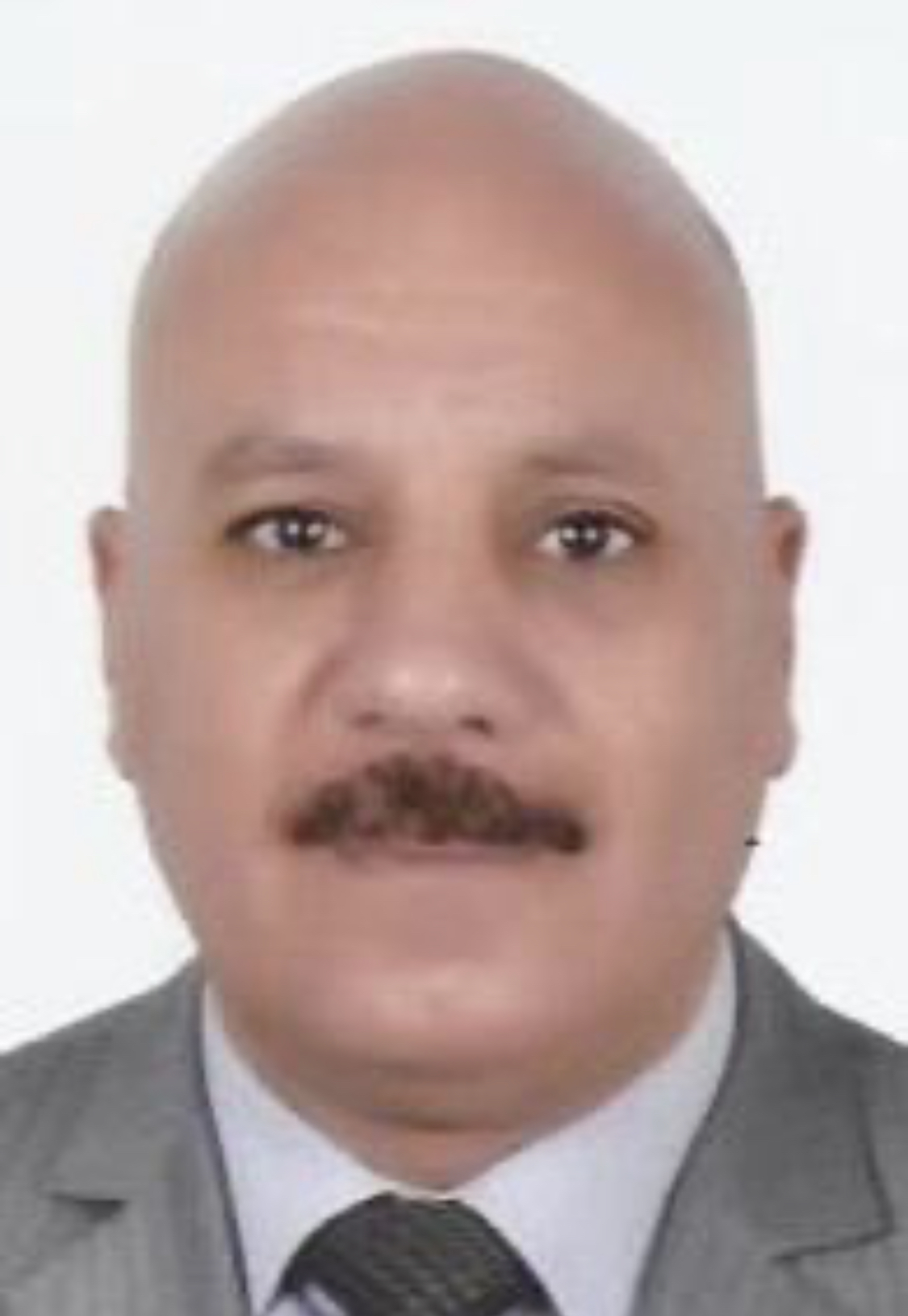 ‎د. مدحت الكاشف ؛ نأسف ونرفض الأساليب الوحشية في التخلص من الكلاب الضآلة