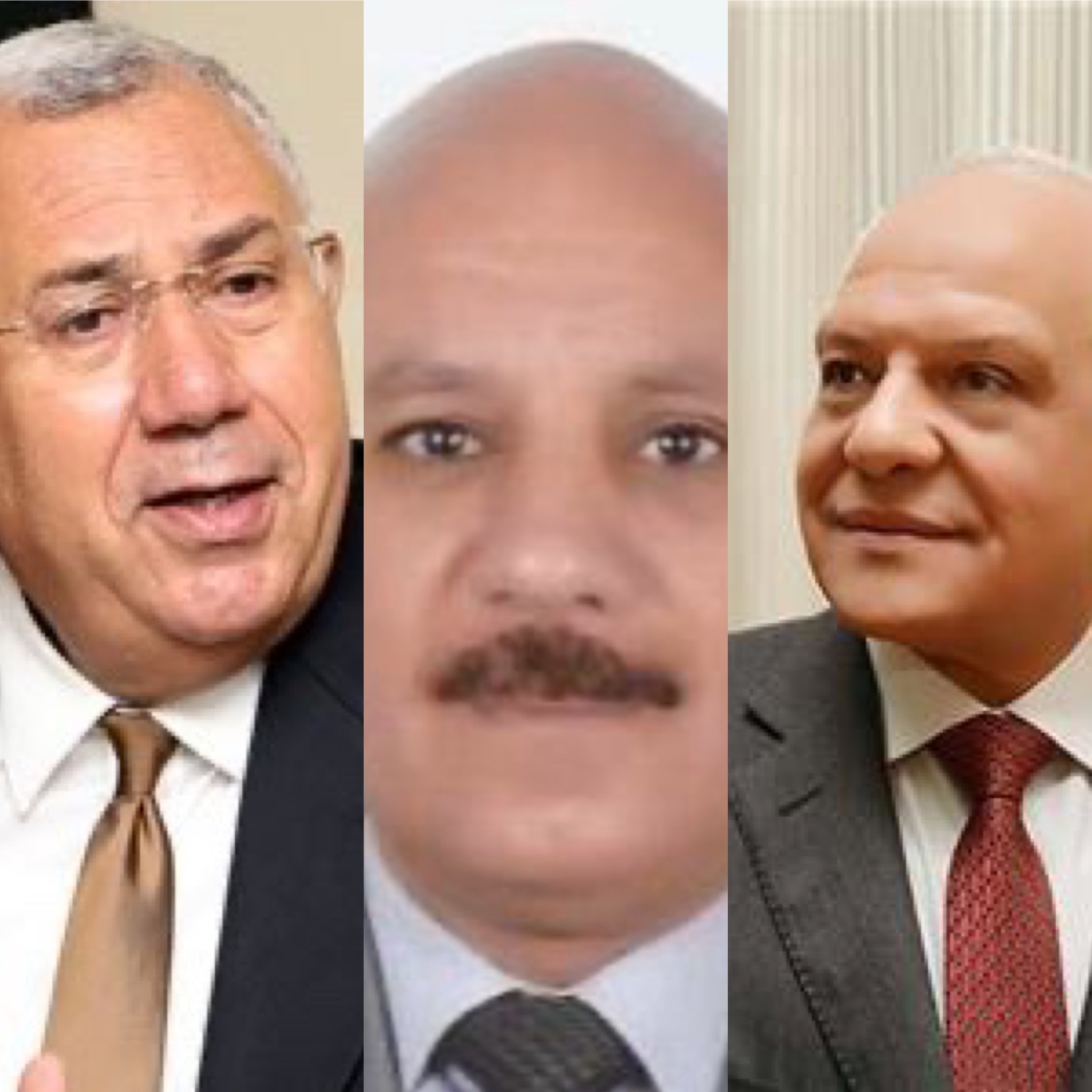 من المسؤول عن بشاعة مشهد التخلص من الكلاب المزعجة لطلاب الفنون